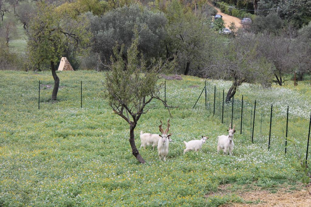 Casa Vistosa Agrigento公寓 外观 照片